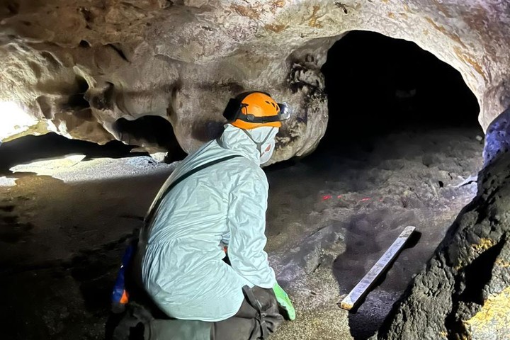 Especialistas en cuevas de EU, exploran la “Cueva de los murciélagos” de la Unicaribe
