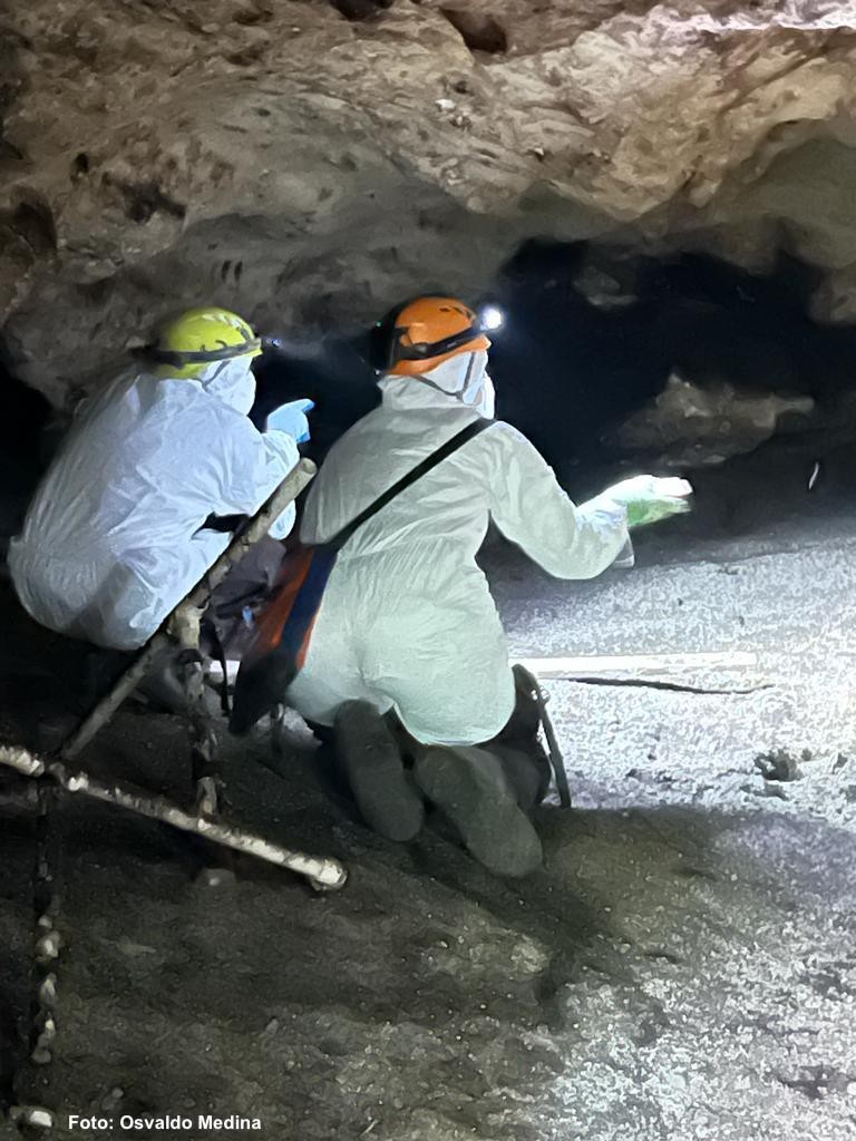 Cueva de los murciélagos Unicaribe  (3).jpeg
