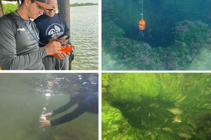 Estudiantes de Unicaribe realizan campaña oceanográfica