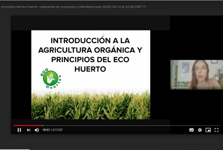 La unicaribe difundirá entre la comunidad la práctica del ecohuerto