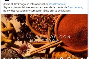 Celebra la Universidad del Caribe su  14º Congreso Internacional de Gastronomía