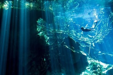 Estrenará Unicaribe Licenciatura en Turismo Alternativo y Gestión del Patrimonio