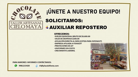 AUXILIAR REPOSTERO - Plaza La Fiesta