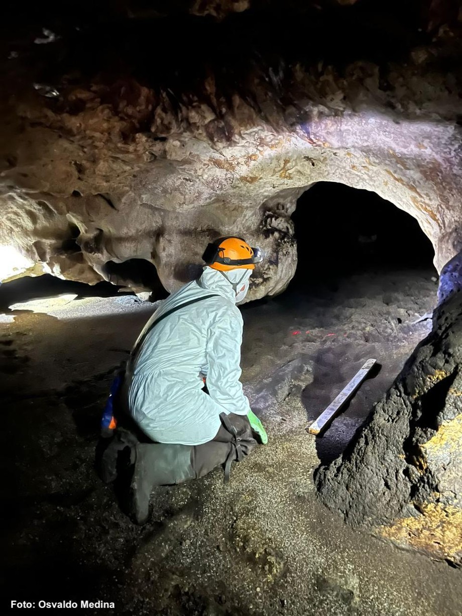 Cueva de los murciélagos Unicaribe  (2).jpeg