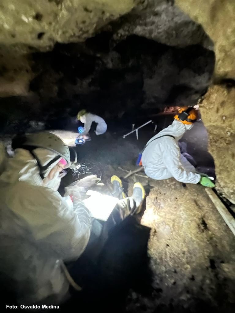 Cueva de los murciélagos Unicaribe  (4).jpeg