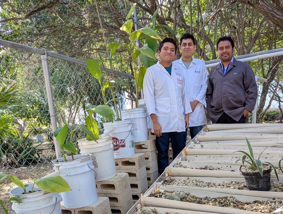 Crean en Unicaribe la Unidad Experimental de Innovación en humedales construidos