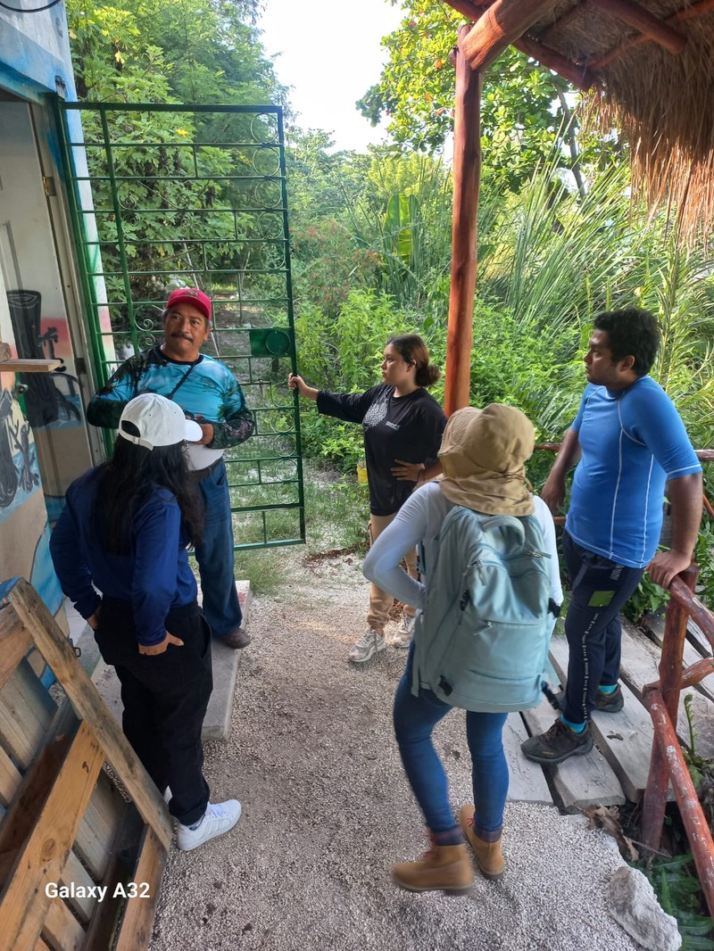Manatí  (5)
