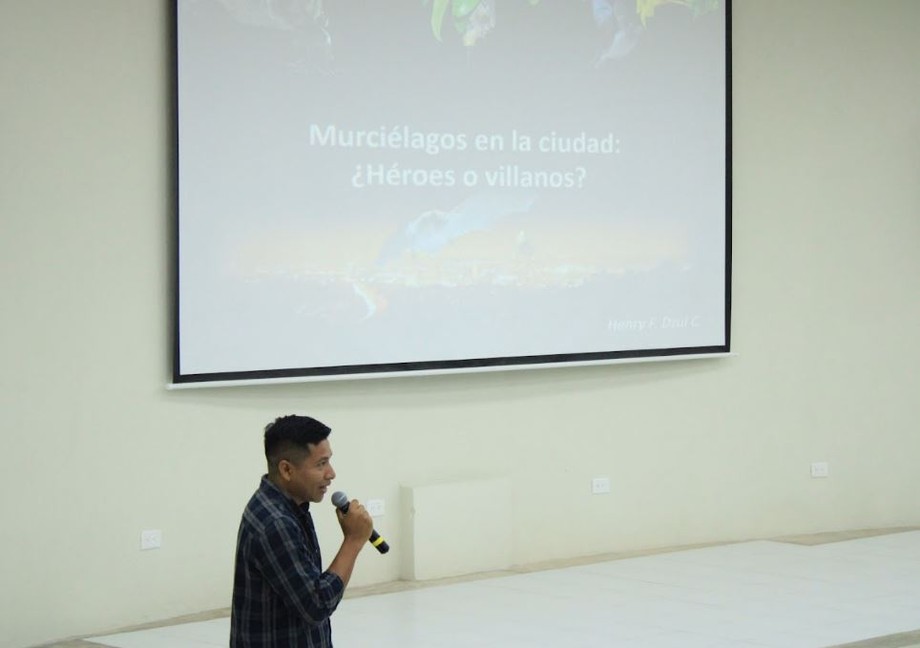 Murciélagos1.JPG