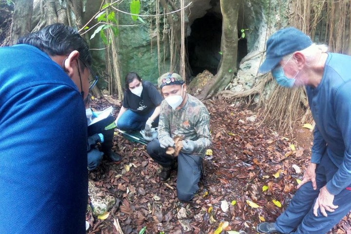 Exploran por primera vez en la Unicaribe las “cuevas de los murciélagos”
