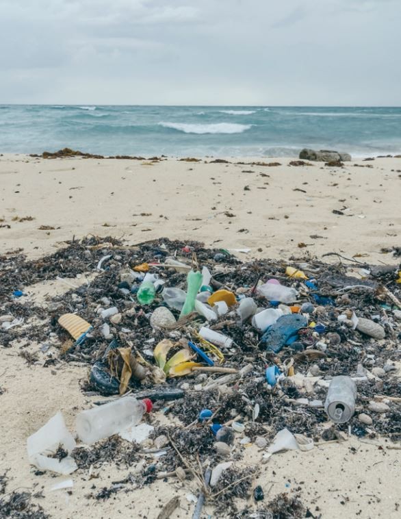 Identifica Unicaribe a las playas más contaminadas con plásticos |  Universidad del Caribe