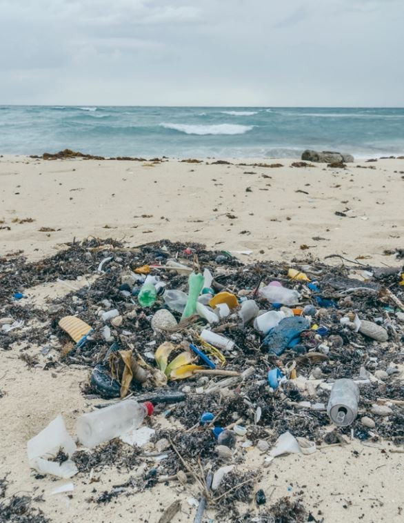 Identifica Unicaribe a las playas más contaminadas con plásticos