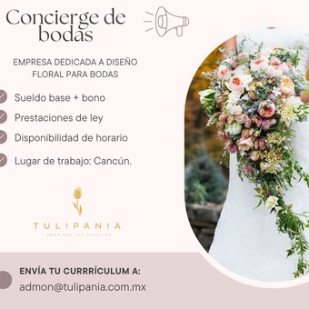 Post de Facebook Vacante de Trabajo Minimalista Beige (3) - Administración Tulipania