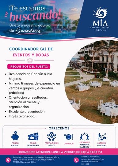 Coordinador(a) de grupo y bodas