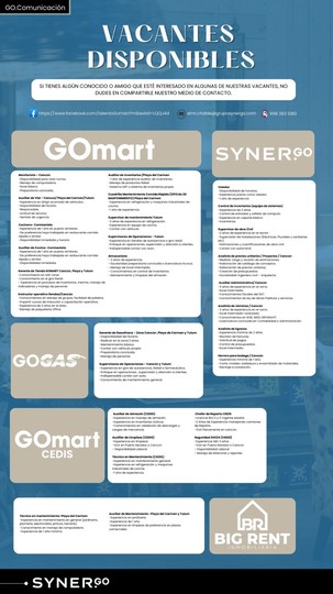 synergo