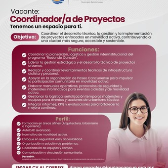 Coordinador de proyectos