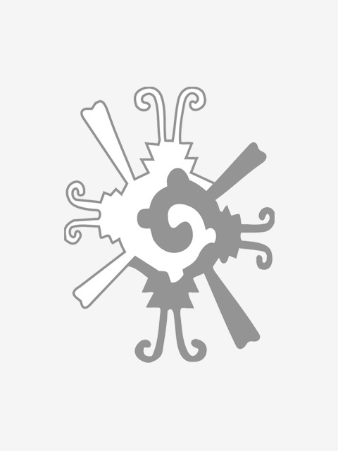 Dr. José Felipe Reyes Miranda