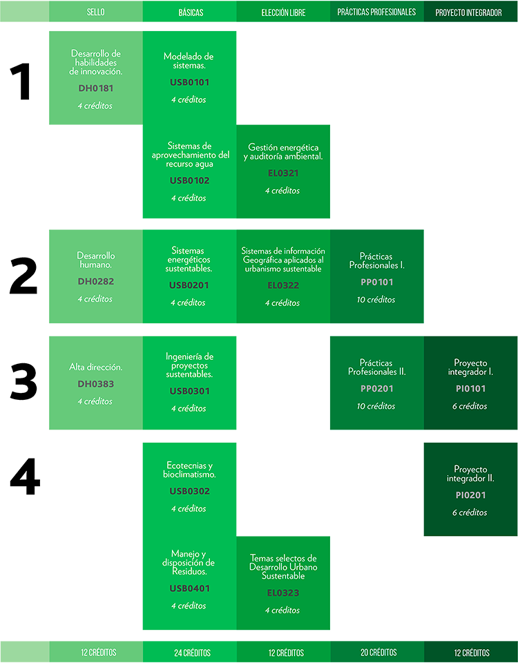 Mapa curricular MUSB